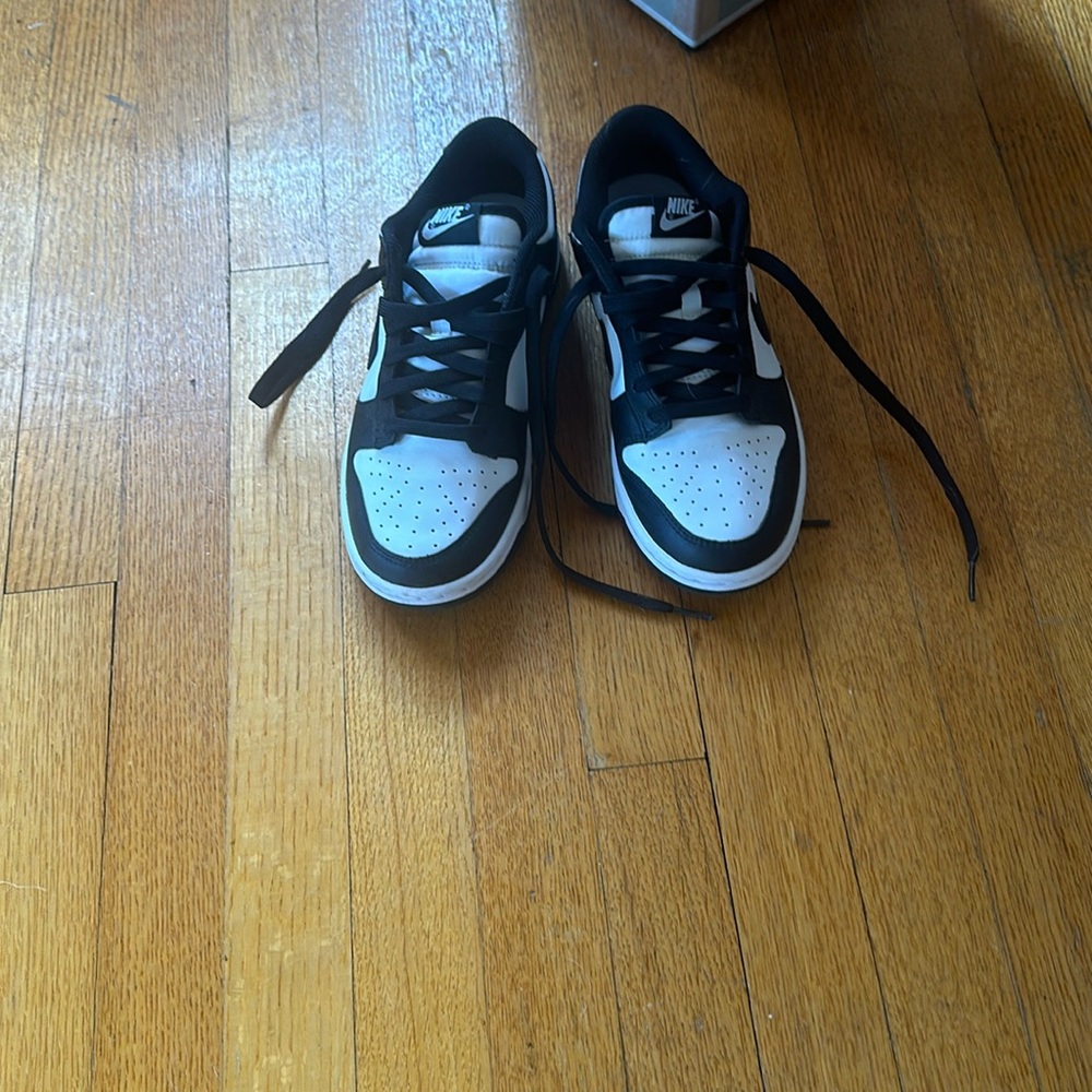 Brand new Nike dunks